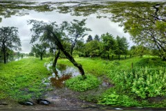 PXL_20240603_160812300.PHOTOSPHERE2