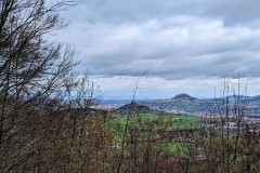 PXL_20230413_0846281182
