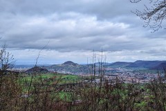 PXL_20230413_0846384812