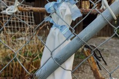IMG_20210330_090832249