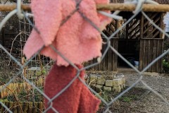 IMG_20210330_090847608