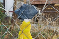 IMG_20210330_090857606