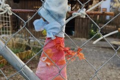 IMG_20210330_090905817