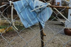 IMG_20210330_090911534