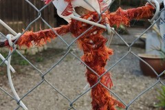 IMG_20210330_090917800