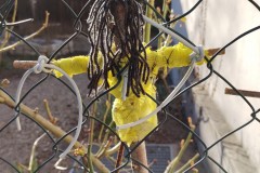 IMG_20210330_091010113