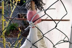 IMG_20210330_091016293