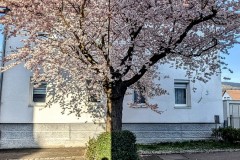 PXL_20250402_1626171532