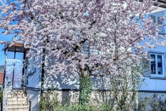PXL_20250402_1627303062