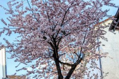 PXL_20250402_1631162112