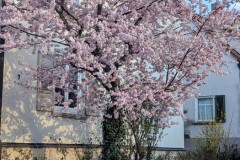 PXL_20250402_165020164