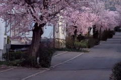 PXL_20250402_1652152642