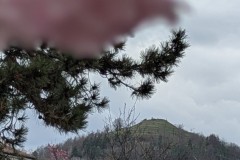 PXL_20250331_142228253.PORTRAIT2