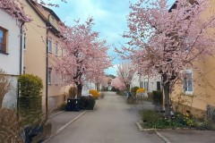 PXL_20250331_143659068_exported_1164602