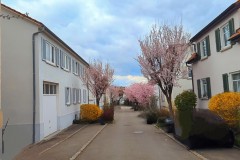 PXL_20250331_143659068_exported_1285622