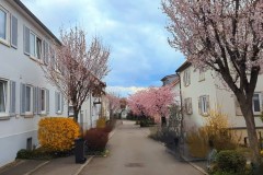 PXL_20250331_143659068_exported_1344473