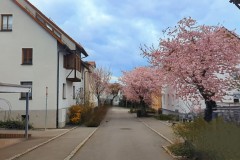 PXL_20250331_143659068_exported_1430582