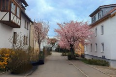 PXL_20250331_143659068_exported_1492092