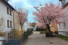 PXL_20250331_143659068_exported_1526992