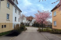 PXL_20250331_143659068_exported_1629062