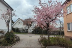 PXL_20250331_143659068_exported_169356