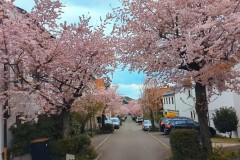 PXL_20250331_143659068_exported_246022