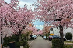 PXL_20250331_143659068_exported_246023