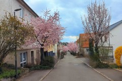 PXL_20250331_143659068_exported_426892