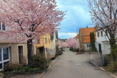 PXL_20250331_143659068_exported_469422