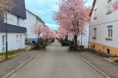 PXL_20250331_143659068_exported_791572