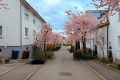 PXL_20250331_143659068_exported_904282