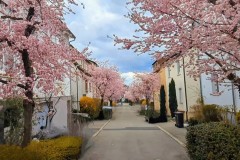 PXL_20250331_143659068_exported_998374