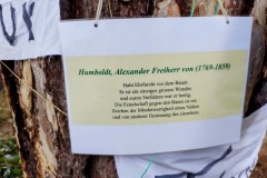 IMG_20220210_1633567342