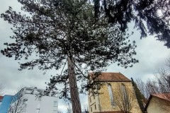 IMG_20220210_163442483_HDR2