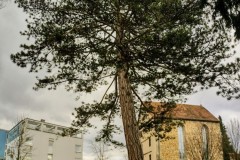 IMG_20220210_1635056942