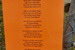 IMG_20220210_1635371902