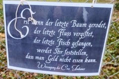IMG_20220210_1635412462