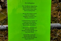 IMG_20220210_1635469682