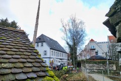 IMG_20220211_0905188152