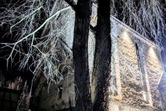 PXL_20251217_183203584.NIGHT2_