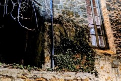 PXL_20251217_183327868.NIGHT2_