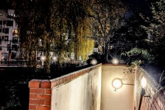 PXL_20241122_164208425.NIGHT2_