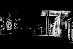 PXL_20250329_194505691.NIGHT3_