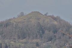 Küchenschellen
