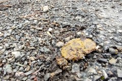 IMG_20220110_0943490572