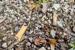 IMG_20210704_110815931_HDR2