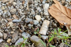 IMG_20210704_110819390_HDR2