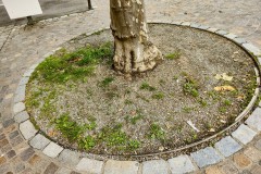 IMG_20210704_110833354_HDR2