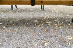 IMG_20210705_1402020112