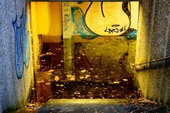 Licht und Wasser